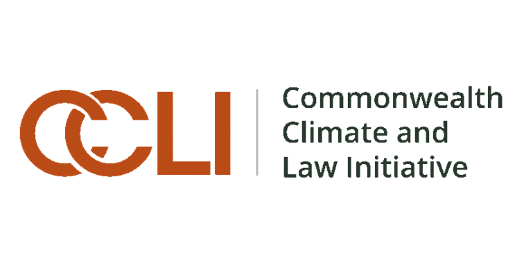 CCLI logo sized