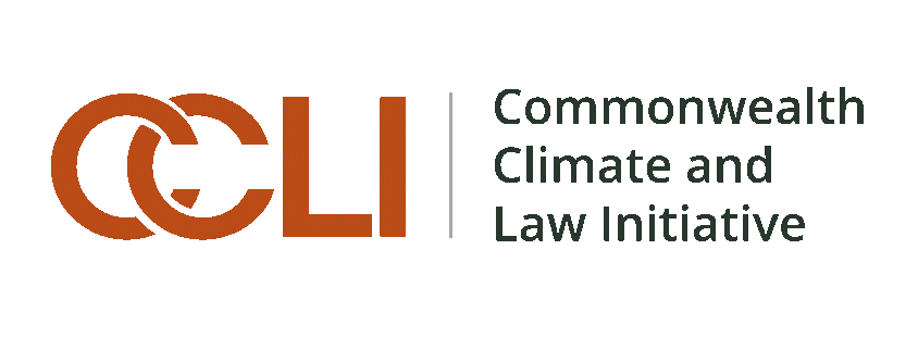 CCLI logo 1