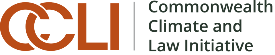 CCLI 01 logo